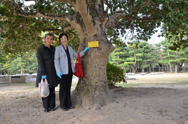 Planting peace: from Hiroshima to Pine Gap