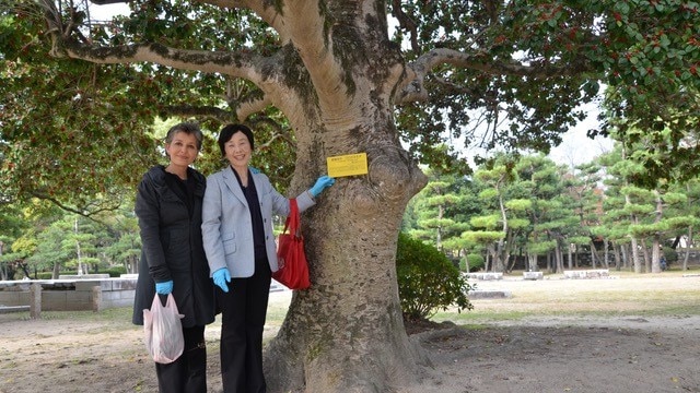 Green Legacy Hiroshima co-founders, Nassrine Azimi and Tomoko Watanabe, in front of the Kurogane Holly at Hiroshima Castle.