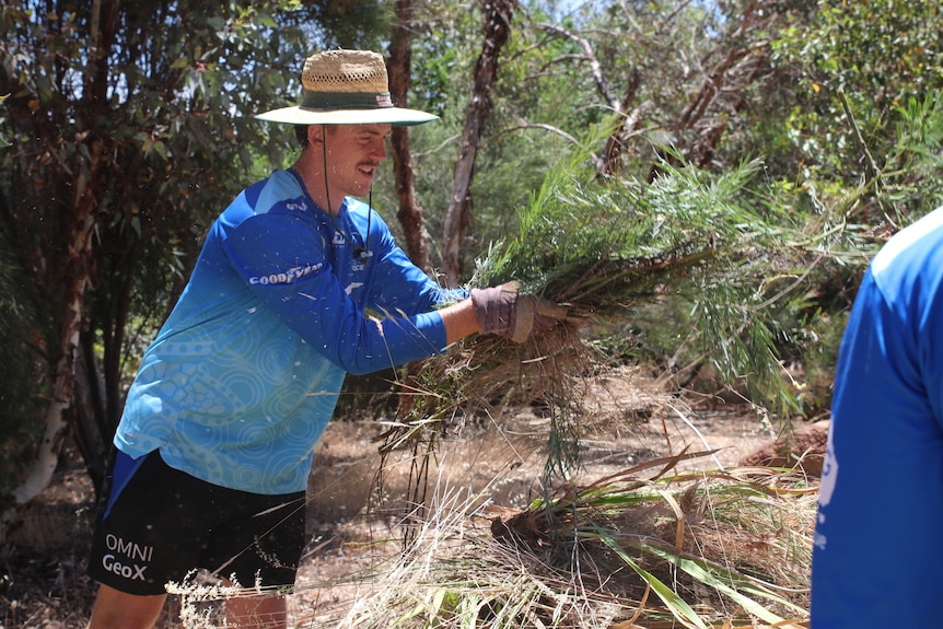 A player picks up weeds in a bush setting.