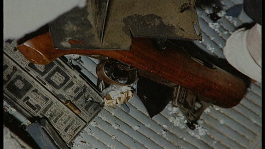 The gun allegedly wielded by Graeme Jensen.