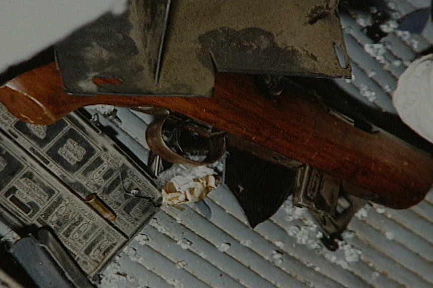 The gun allegedly wielded by Graeme Jensen.