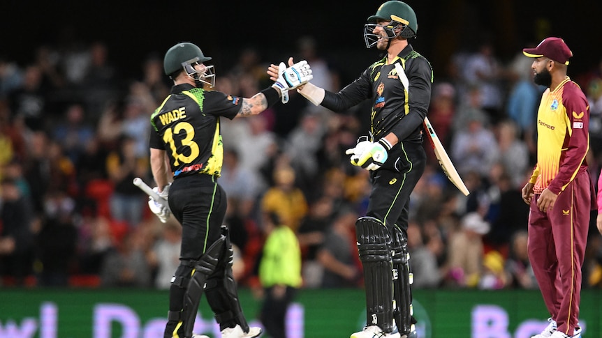 Two Australian batsmen clasp hands in celebration in the middle of a cricket pitch.