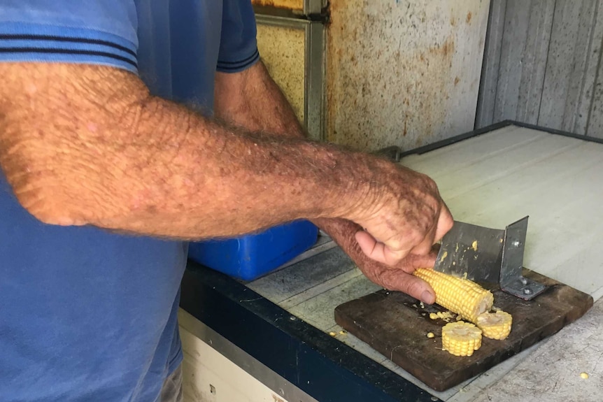 Ken Banks chopping corn with a home made device - a cleaver hinged to a chopping board.
