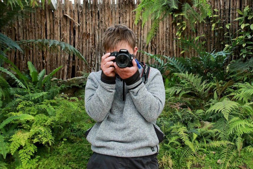 A man looks through a camera viewfinder against a background of ferns