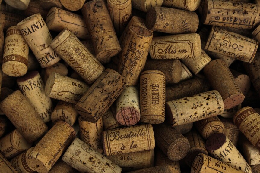 A closeup of a pile of wine bottle corks.