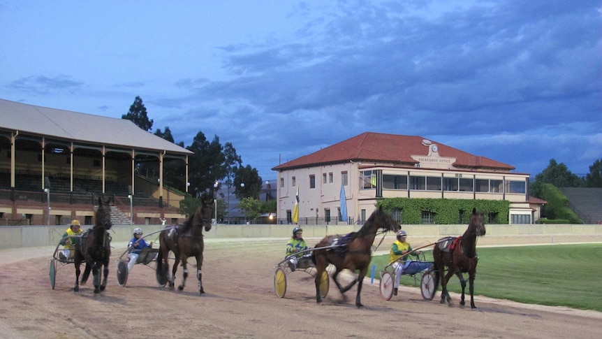 Four horses on the track at the Adelaide Showgrounds