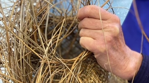 Basket weavers