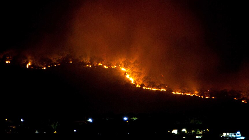 A bushfire front burns on Horn Island in Torres Strait.