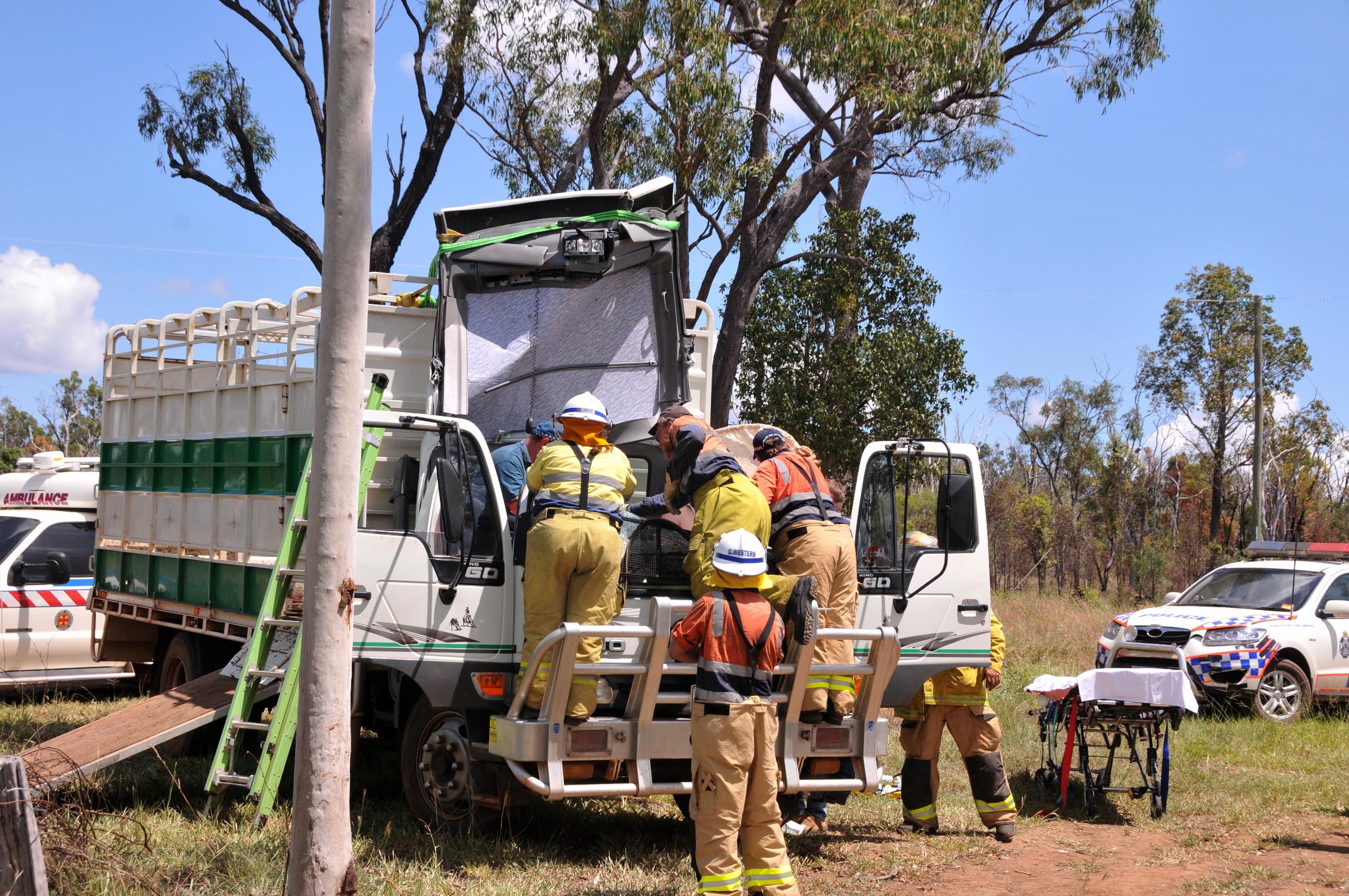 Driver injured after tree falls on truck - ABC News