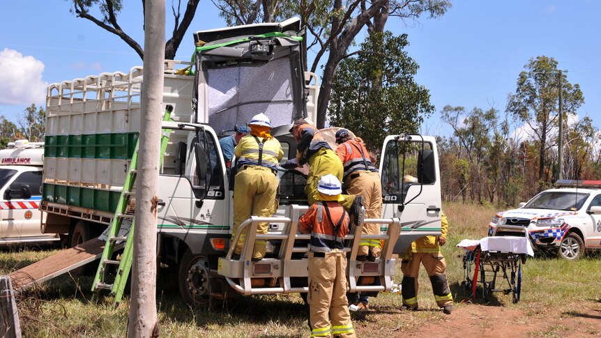 Emergency services work on the cabin of a horse truck after a tree fell on it.