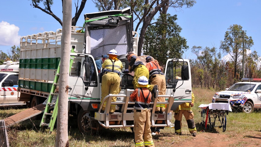 Emergency services work on the cabin of a horse truck after a tree fell on it.