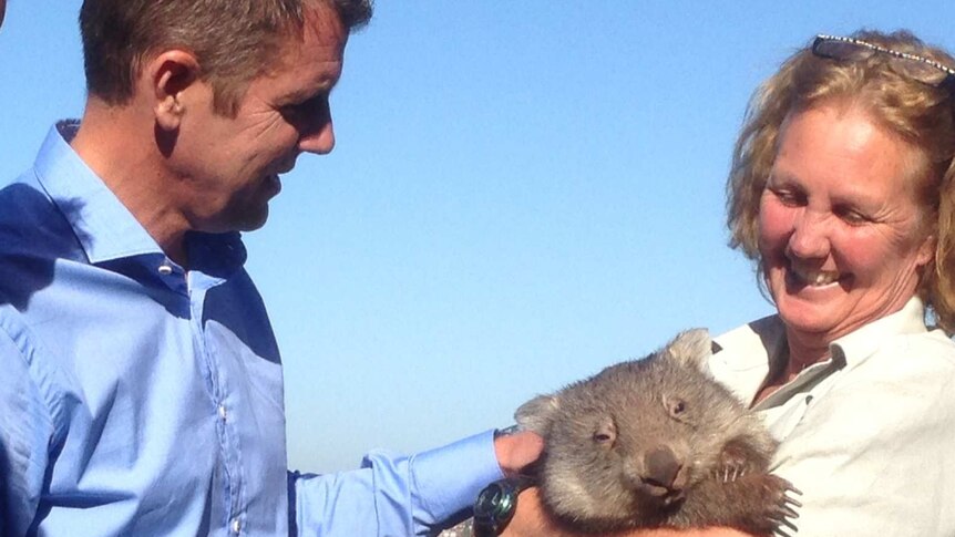 NSW election 2015: Premier Mike Baird cuddles a koala at Taronga Zoo