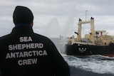 Sea Shepherd shadows Japanese whaling ship
