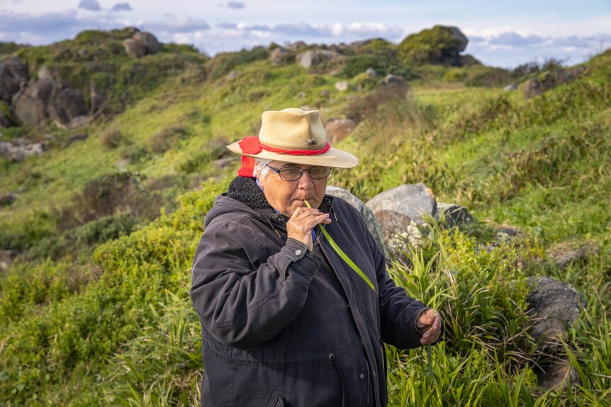 Woman standing on a grassy headland holding a strand of lomandra grass and sucking the end.