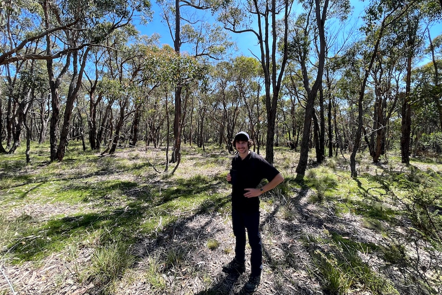 Jackson Cass out in a national park looking for koalas