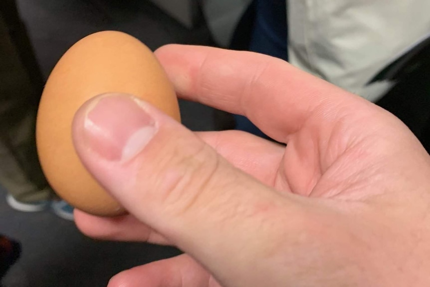 The egg in question