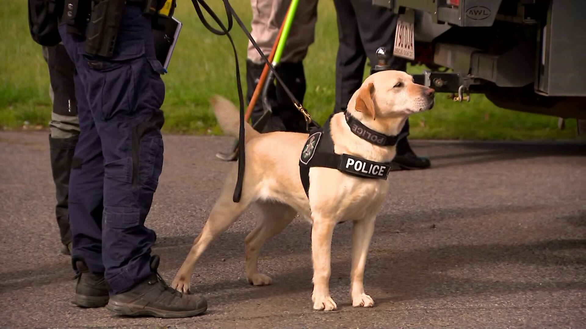 A dog with a vest that says "Police" on a lead near a pair of legs in dark pants.