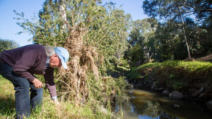 A man bends over a creek