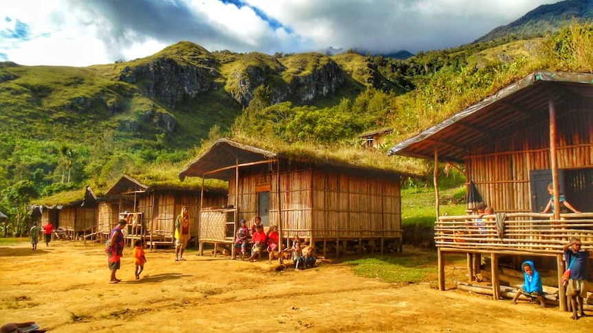 A village in Papua New Guinea that has a line of huts with villagers in front and a green mountainside in the background