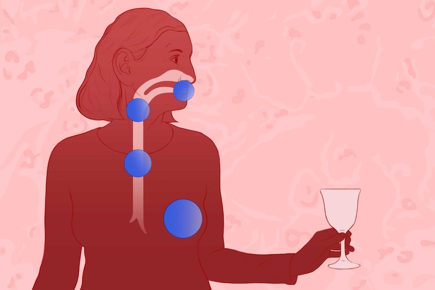 illustration of top half of gastrointestinal tract