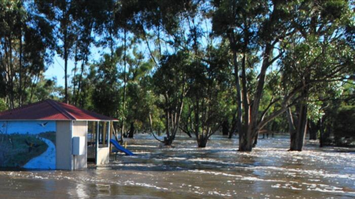 The Wimmera swells at Donald