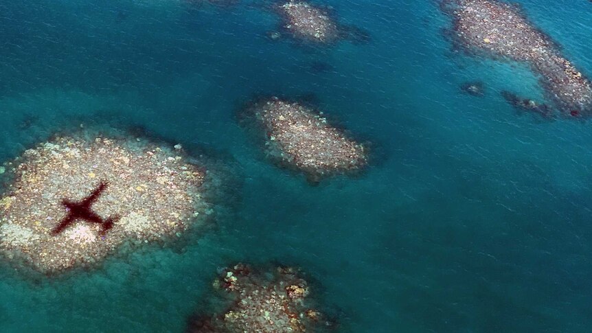 Aircraft shadow over bleached reef, northern Great Barrier Reef, March 2016.