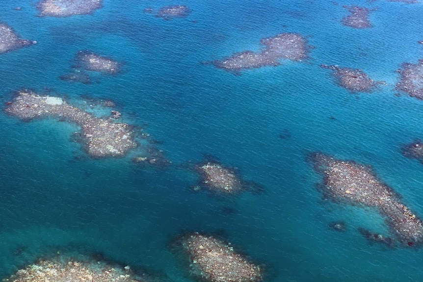 Aircraft shadow over bleached reef, northern Great Barrier Reef, March 2016.
