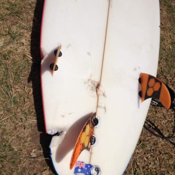 Surfboard showing bite marks from a shark attack