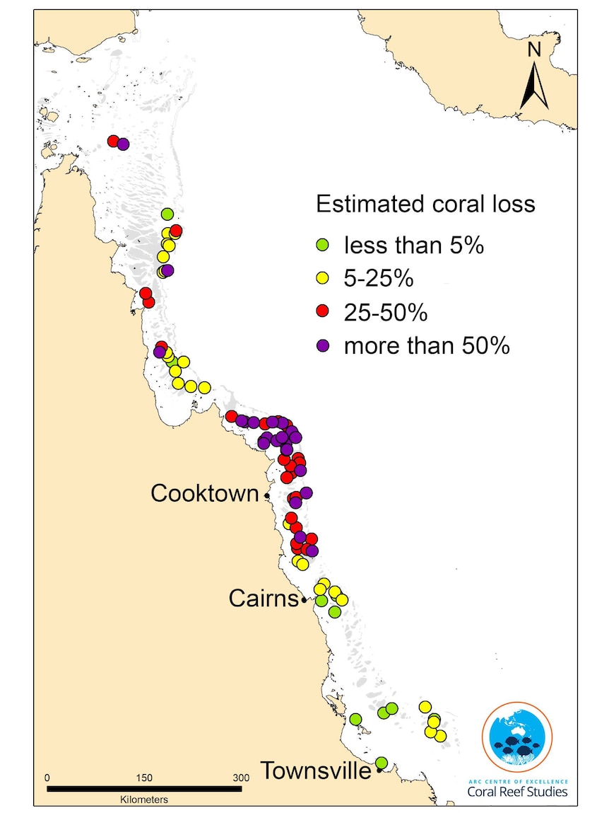 Coral mortality map along the Great Barrier Reef