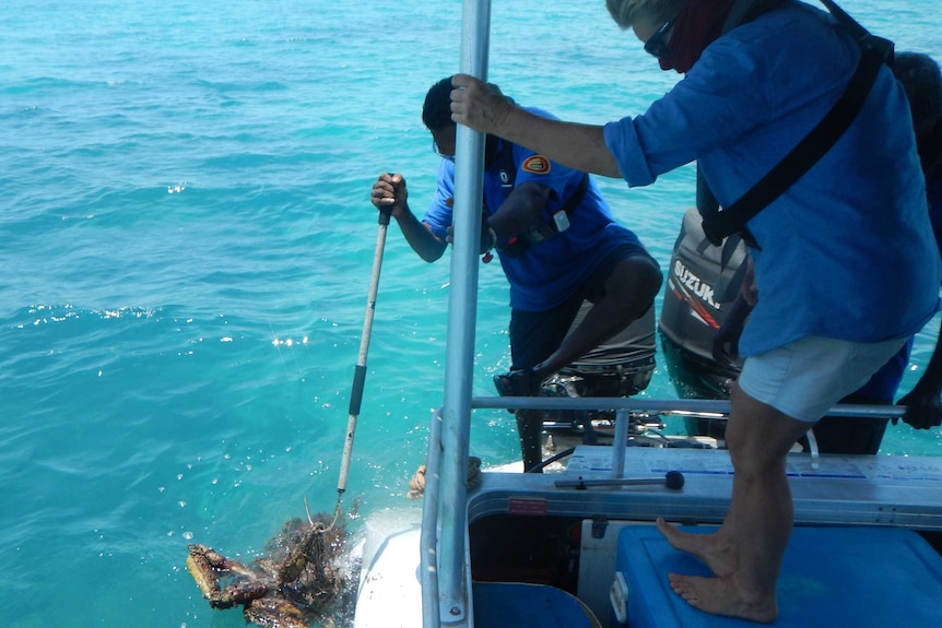 Rangers retrieve an abandoned net off Groote Eylandt