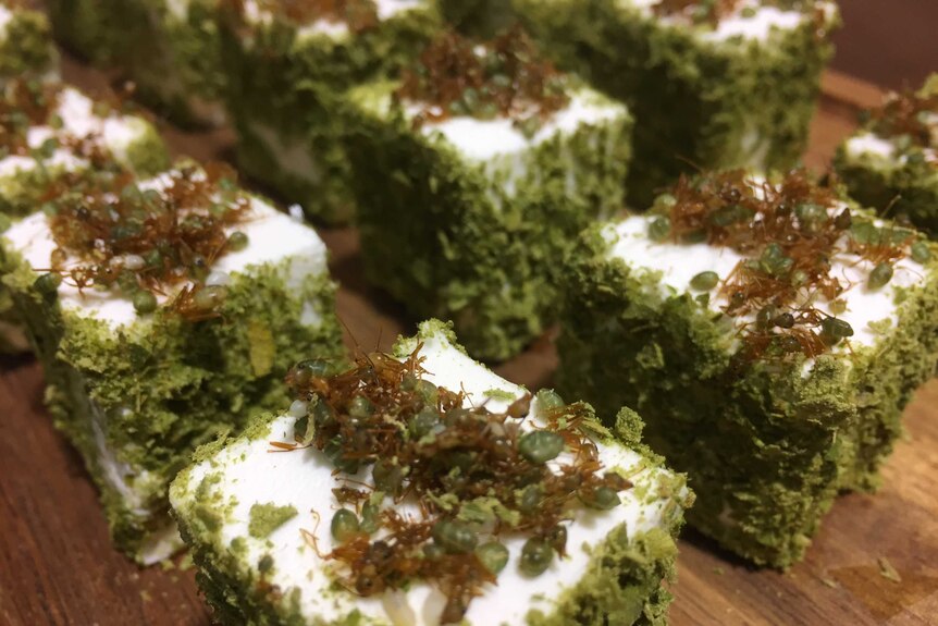 Green ant goats cheese