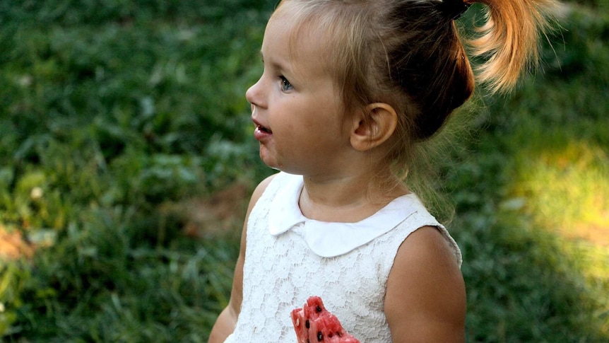 a little girl holds a piece of watermelon