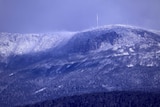 Mount Wellington gets its first winter coat of snow