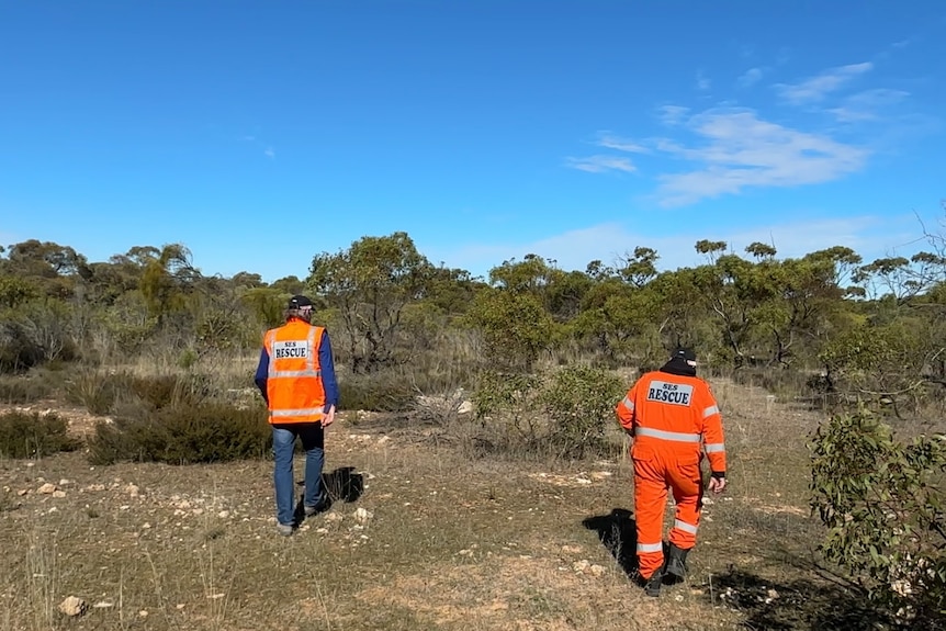 South Australian State Emergency Service volunteers searching scrub.
