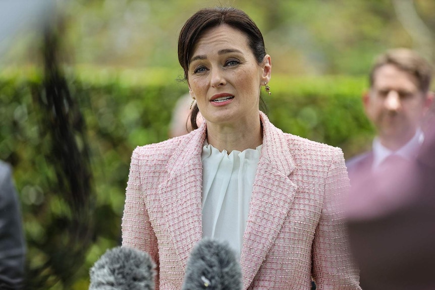 Queensland Labor MP Leanne Linard speaks to the media in Brisbane.