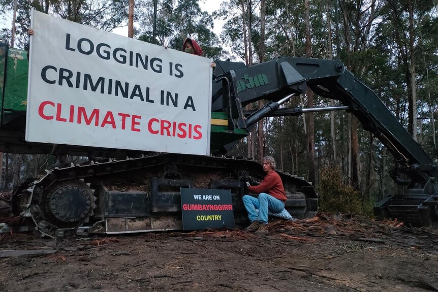 Man sitting locked onto a logging machine with a sign reading 'logging is criminal in a climate crisis'