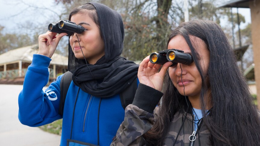 STEM students Zainab Ramazan and Damanta Khadko check for birds at the NYSF Explorer program.