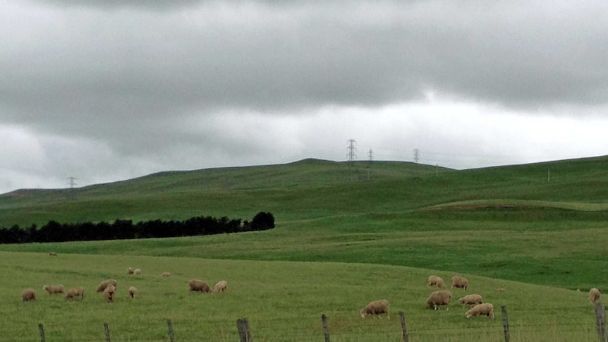 Farmland in Hamilton, near Hobart, the site of a proposed open cut coal mine.