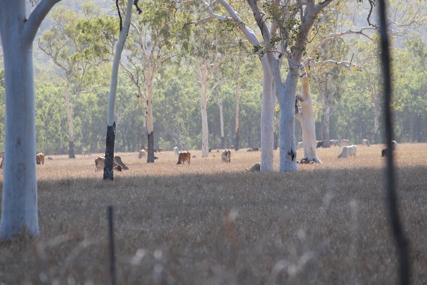 The Nationals typically represent seats in rural or regional areas.