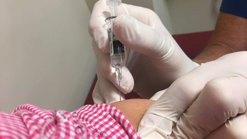 Close-up of needle containing Q vax being inserted in an arm