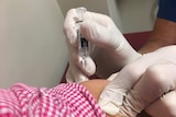 Close-up of needle containing Q vax being inserted in an arm
