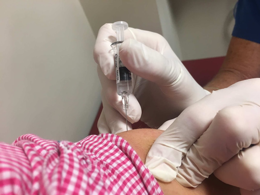 Close-up of needle containing Q vax being inserted in an arm