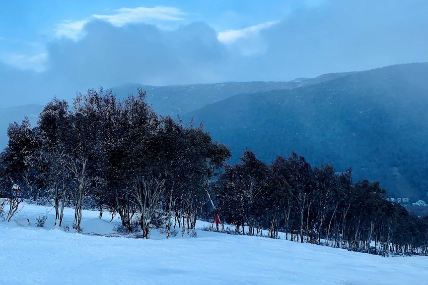 The snow-covered slopes of Thredbo, 2020.