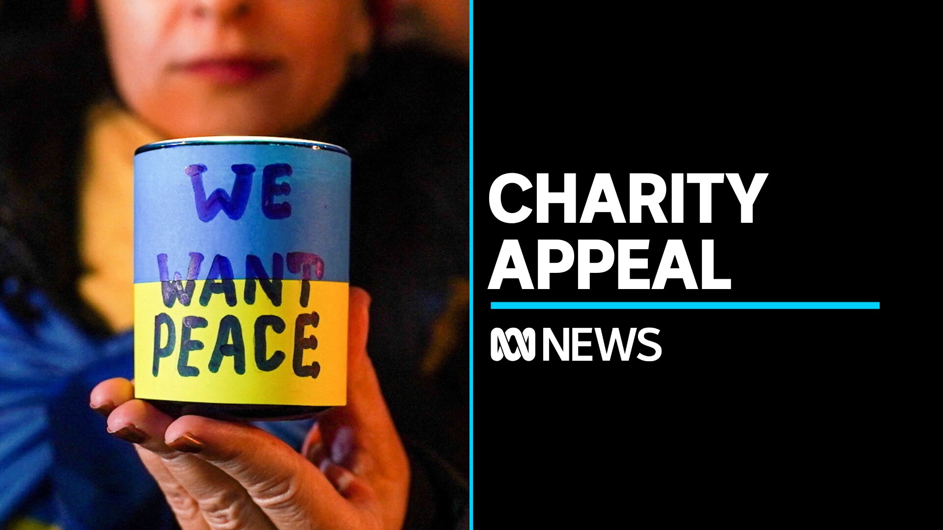 Charities say Ukrainian children and families still need help - ABC News