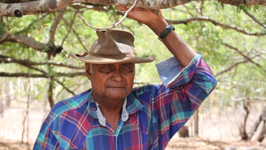 Old Aboriginal man