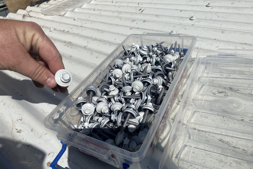 A hand holding a screw. There is a box of screws pictured.