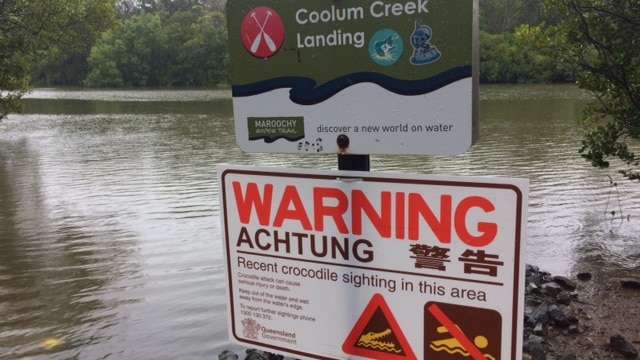 A crocodile warning sign at Coolum Creek