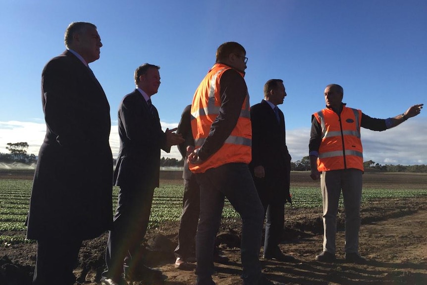 Tony Abbott visits lettuce farm in Tasmania