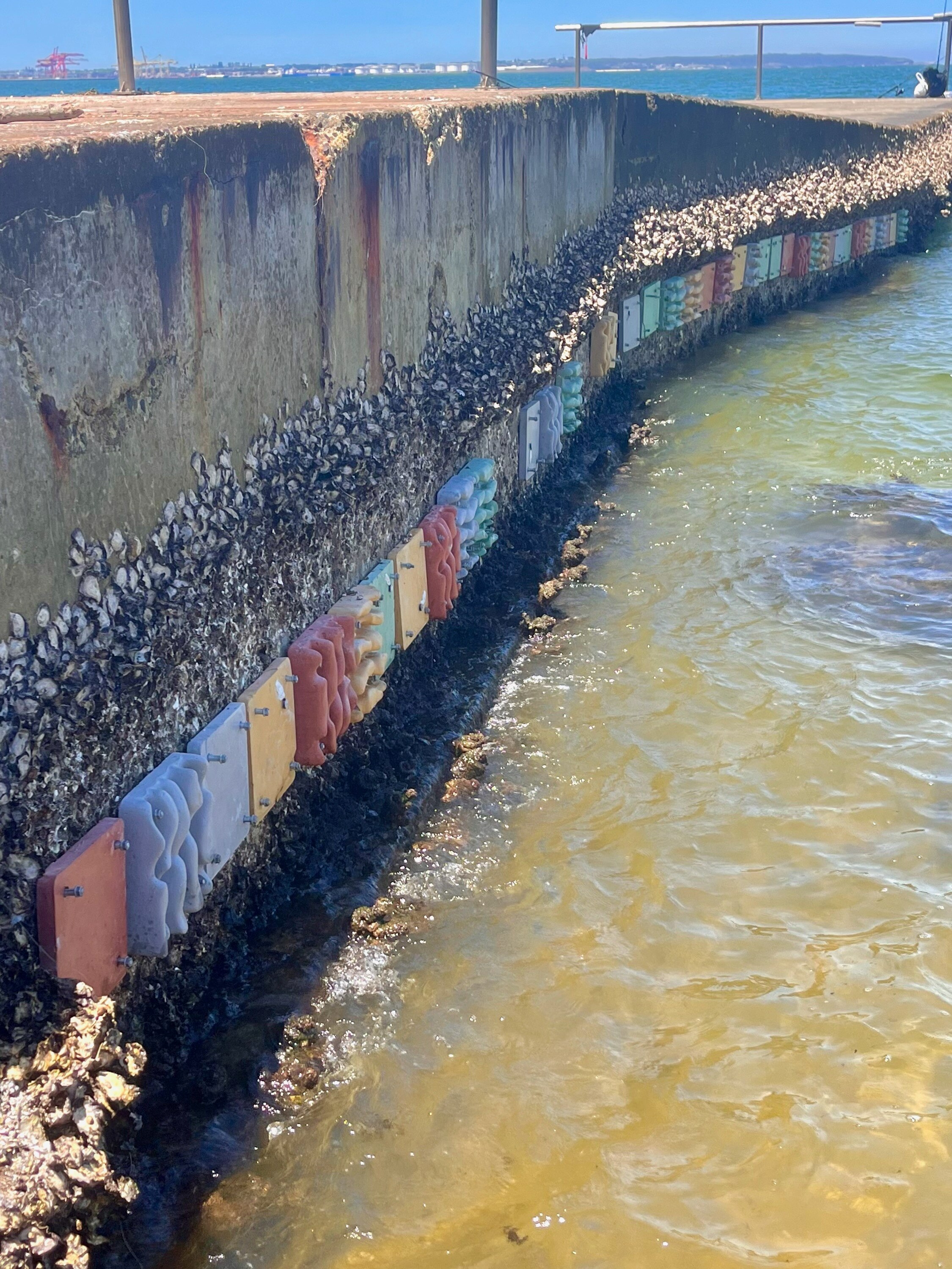 A seawall with colourful blocks of concrete.