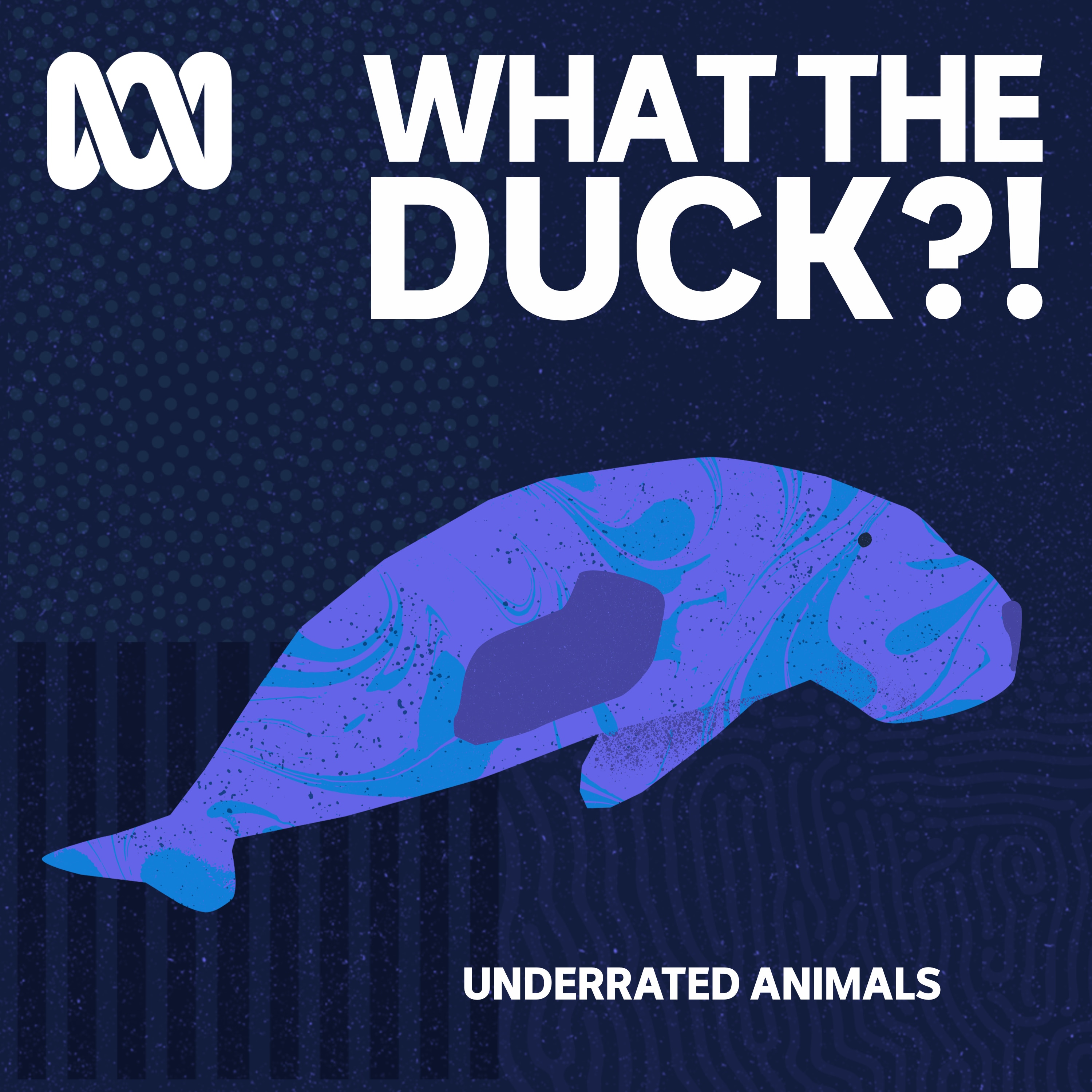 Underrated animals: Dugong